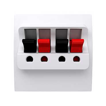 Розетка Аудио 2-ая R9003